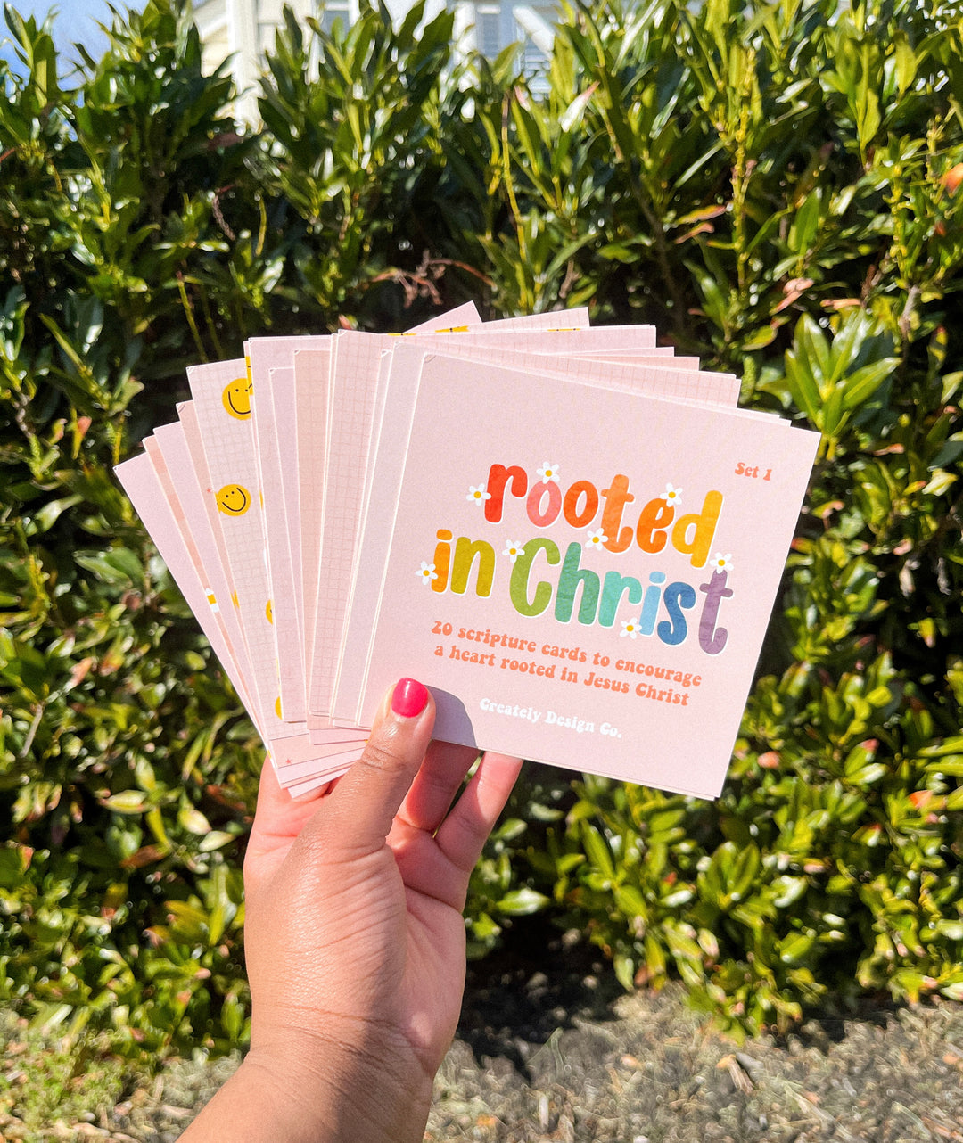 Rooted in Christ Scripture Cards